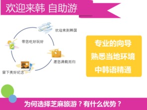 韓國(guó)首爾與釜山專(zhuān)業(yè)翻譯與軟件開(kāi)發(fā)服務(wù)